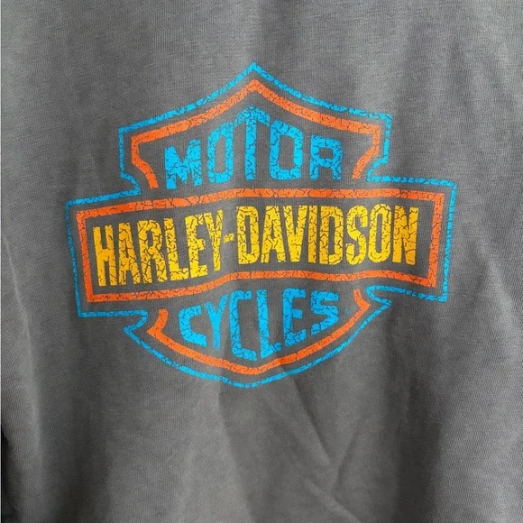 Harley-Davidson Genuine MotorClothes Gray Hoodie - Picture 5 of 6